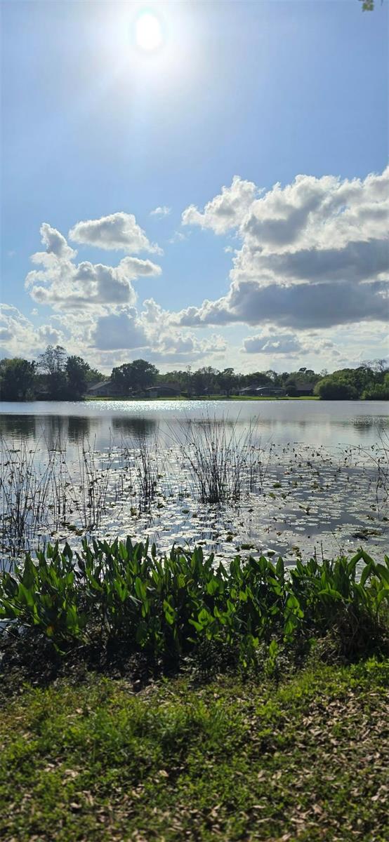 Image 77 of 95 For 145 Thornberry Drive