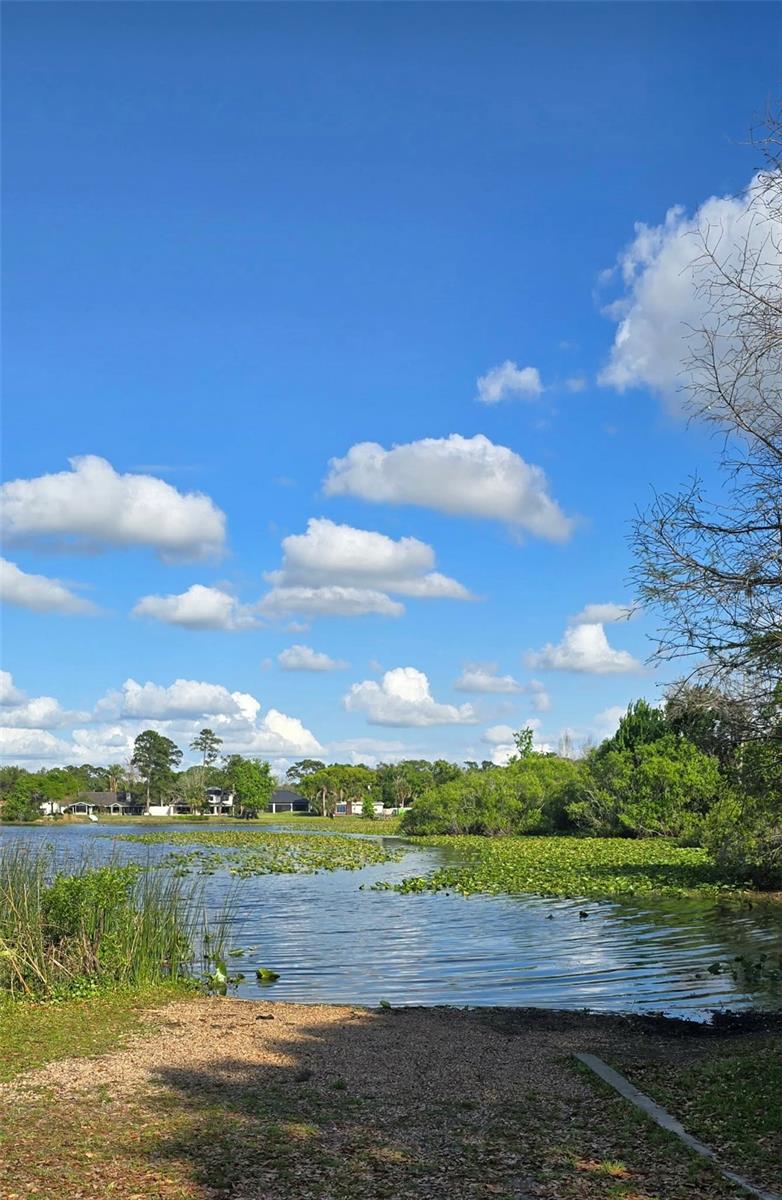 Image 78 of 95 For 145 Thornberry Drive