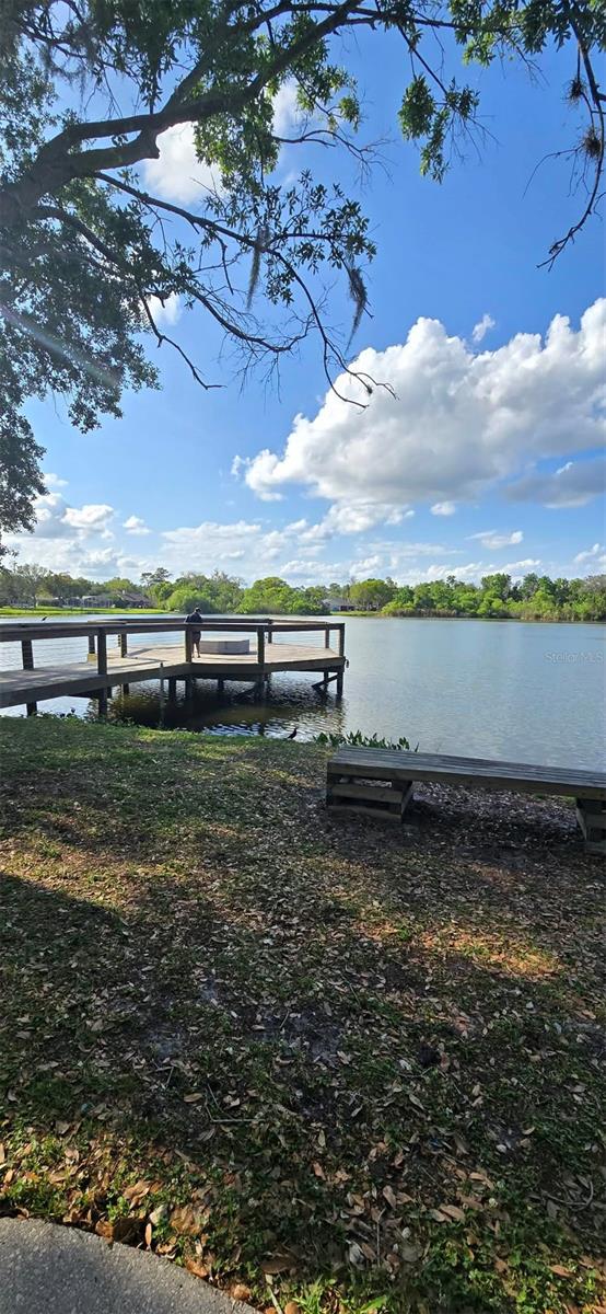 Image 80 of 95 For 145 Thornberry Drive