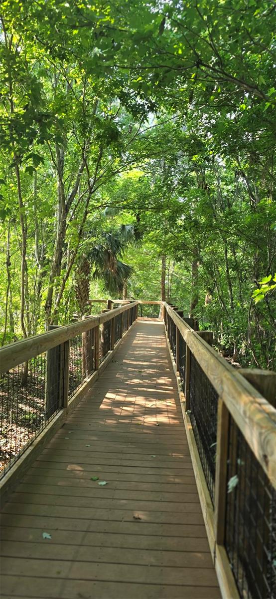 Image 81 of 95 For 145 Thornberry Drive