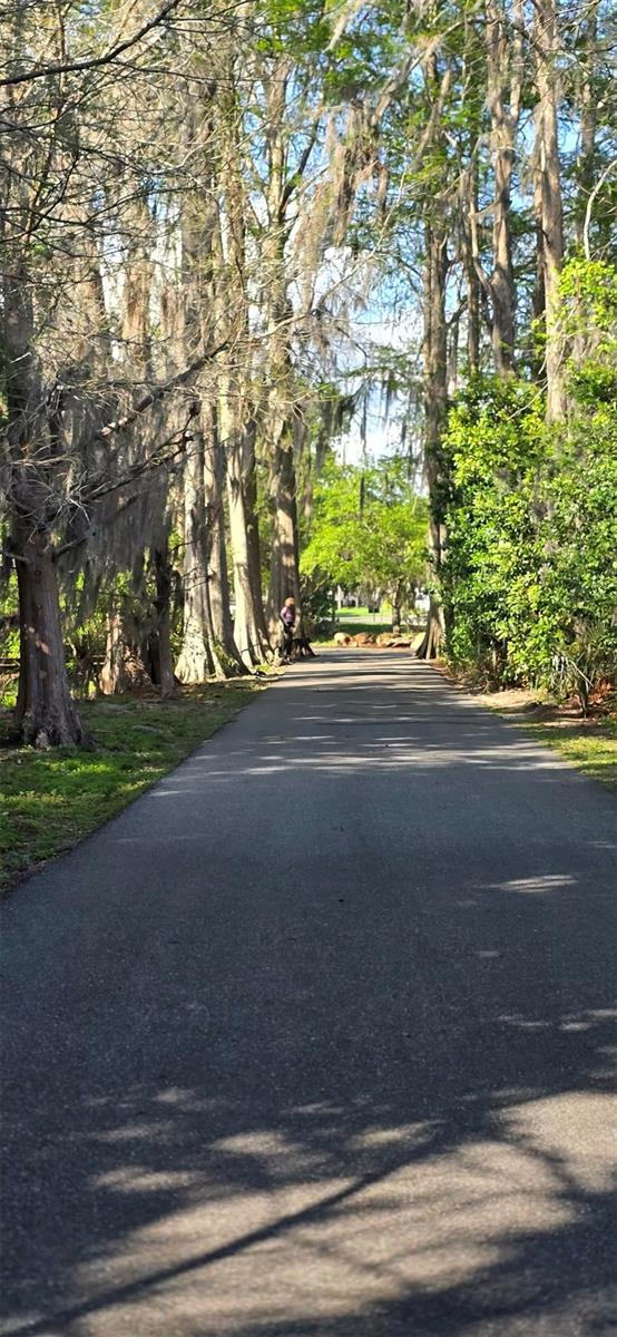 Image 84 of 95 For 145 Thornberry Drive