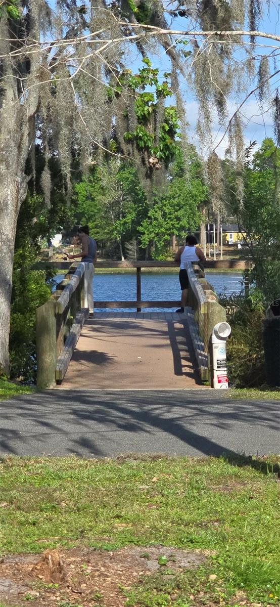 Image 92 of 95 For 145 Thornberry Drive