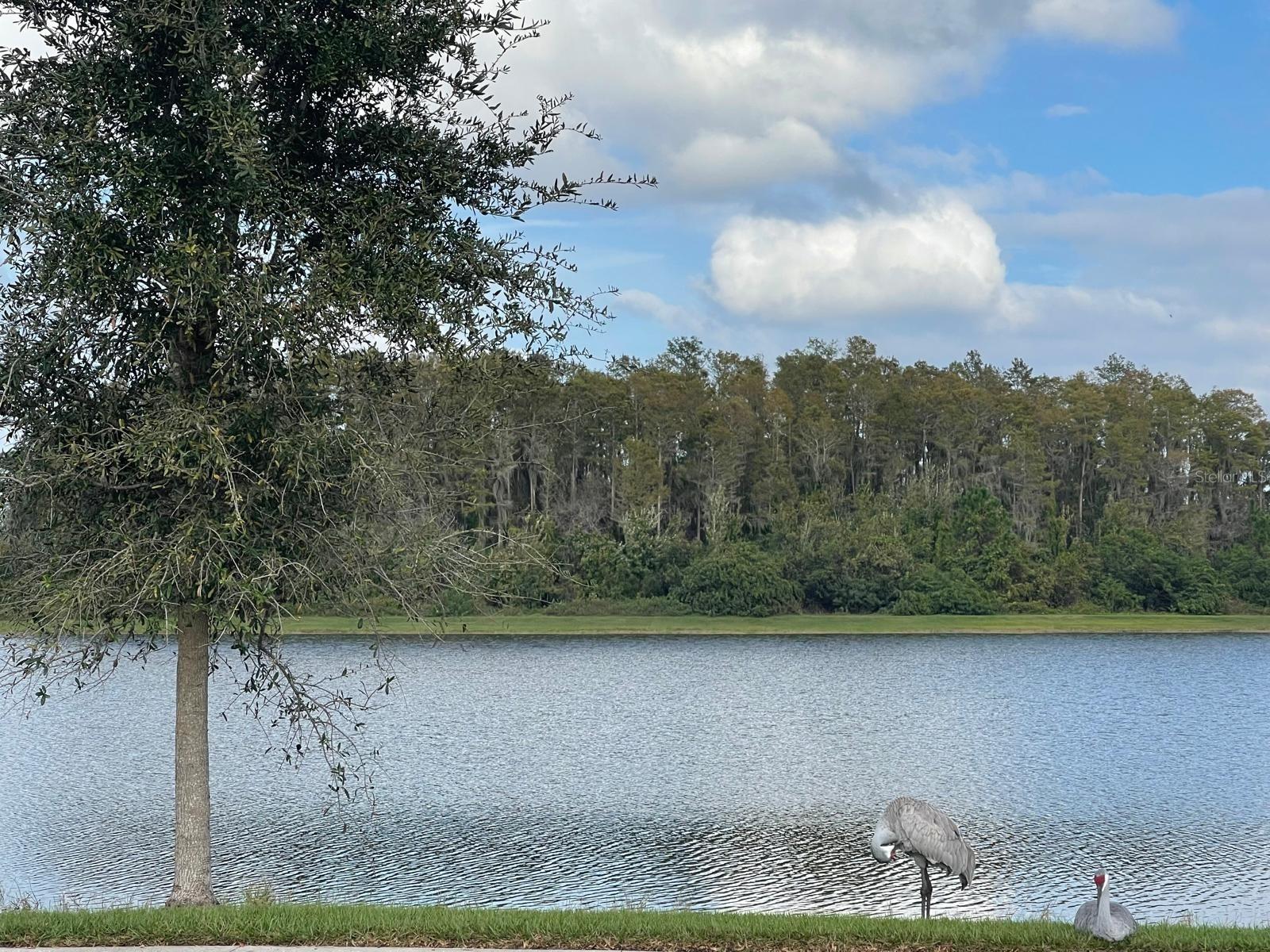 Image 38 of 44 For 2962 Harlow Avenue