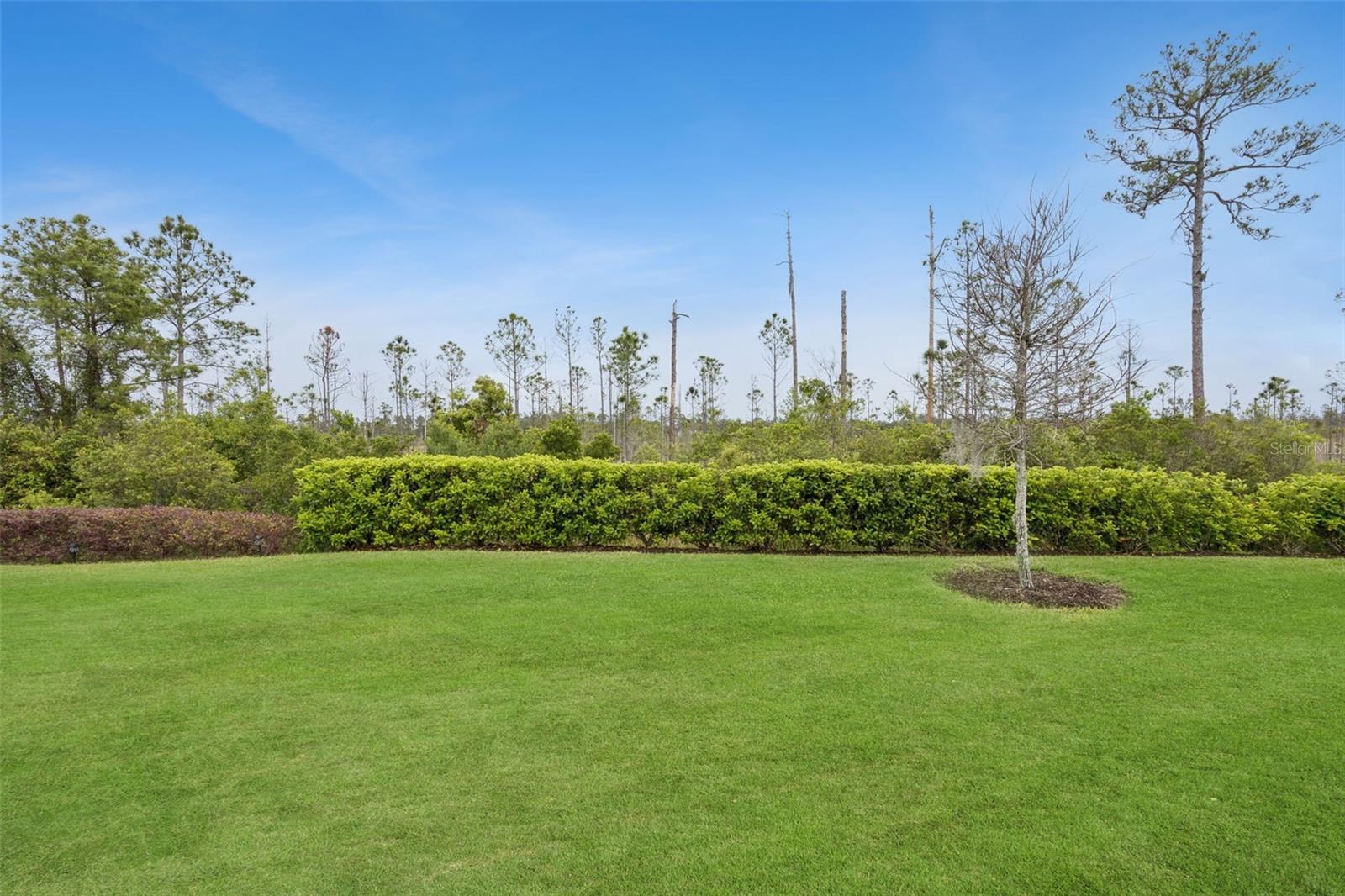 Image 33 of 49 For 2749 Cherry Blossom Loop