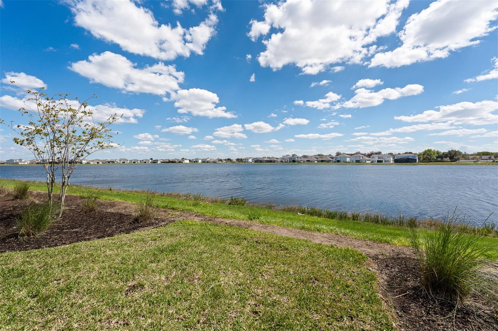 Image 54 of 78 For 13573 Mcmillan Drive