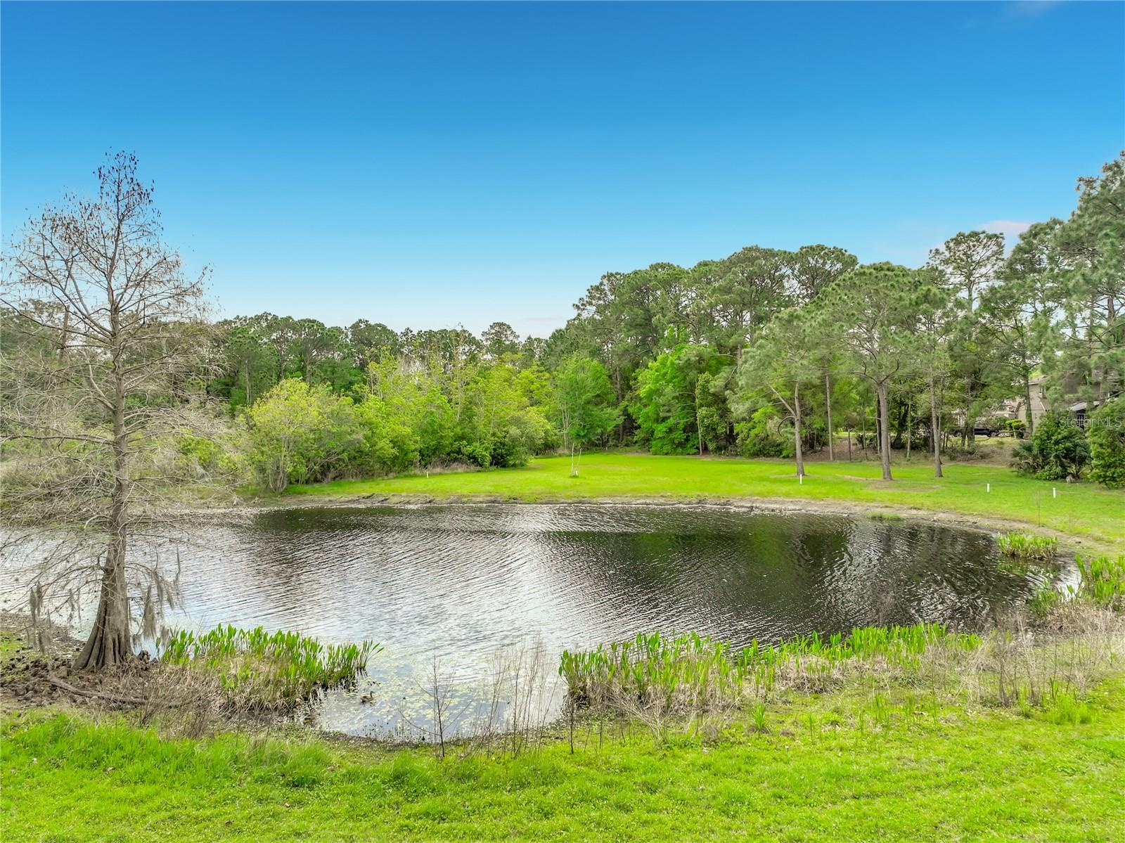 Image 50 of 59 For 949 Pickfair Terrace