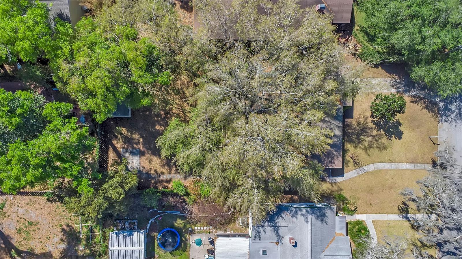 Image 33 of 35 For 1610 Jefferson Street