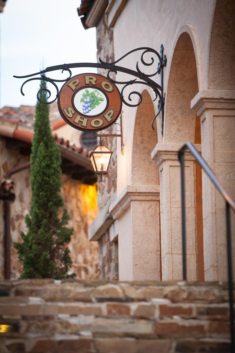 Image 82 of 94 For 16132 Volterra Point