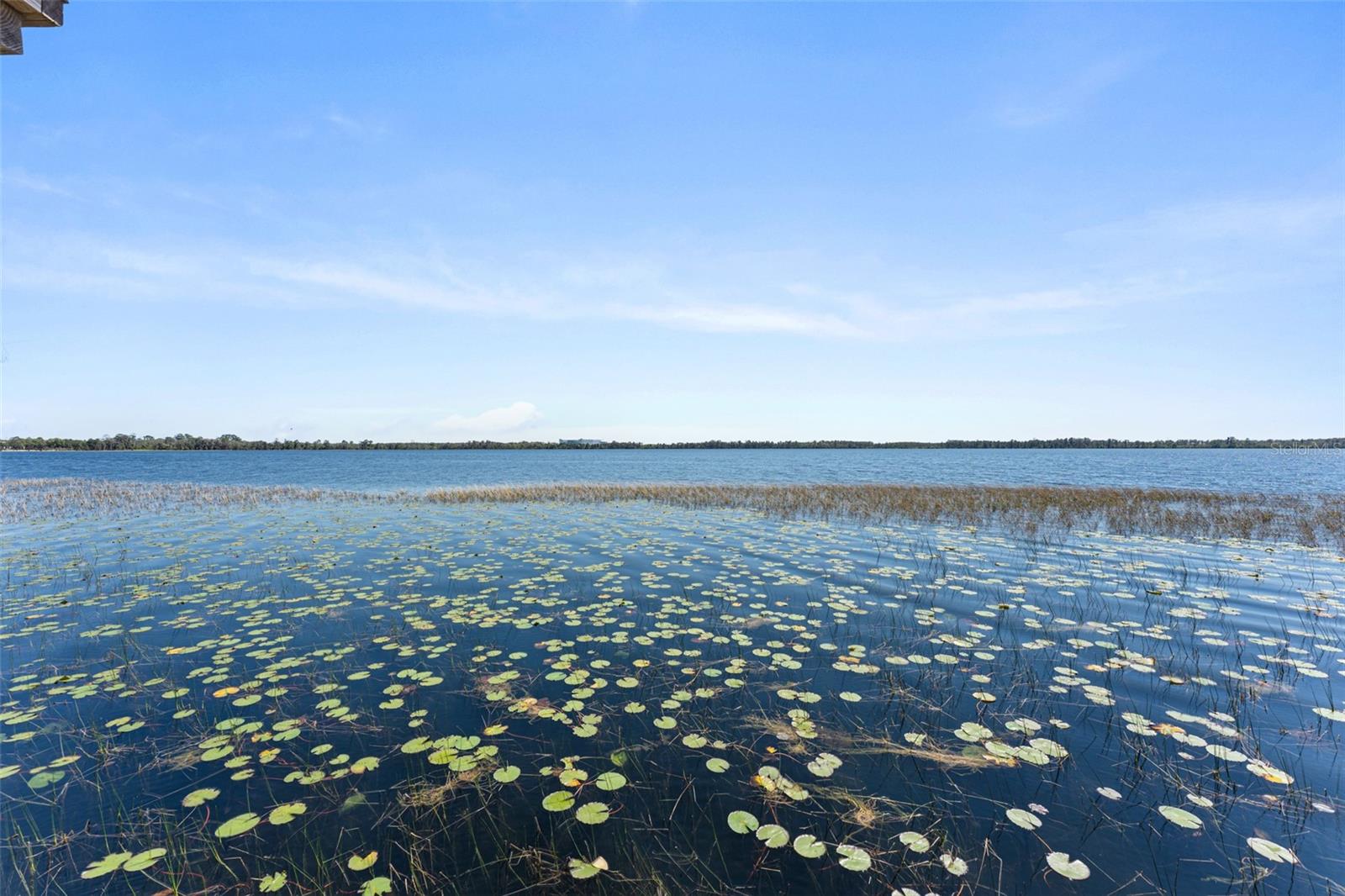 Image 87 of 99 For 8506 Lake Nona Shore Dr