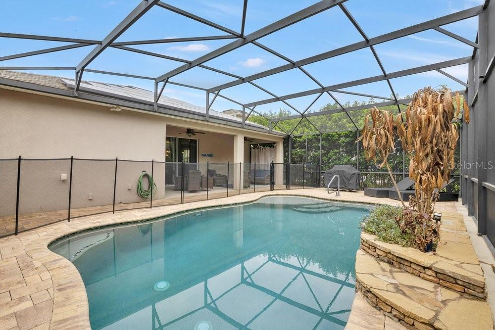 Image 4 of 37 For 14568 Spotted Sandpiper Boulevard