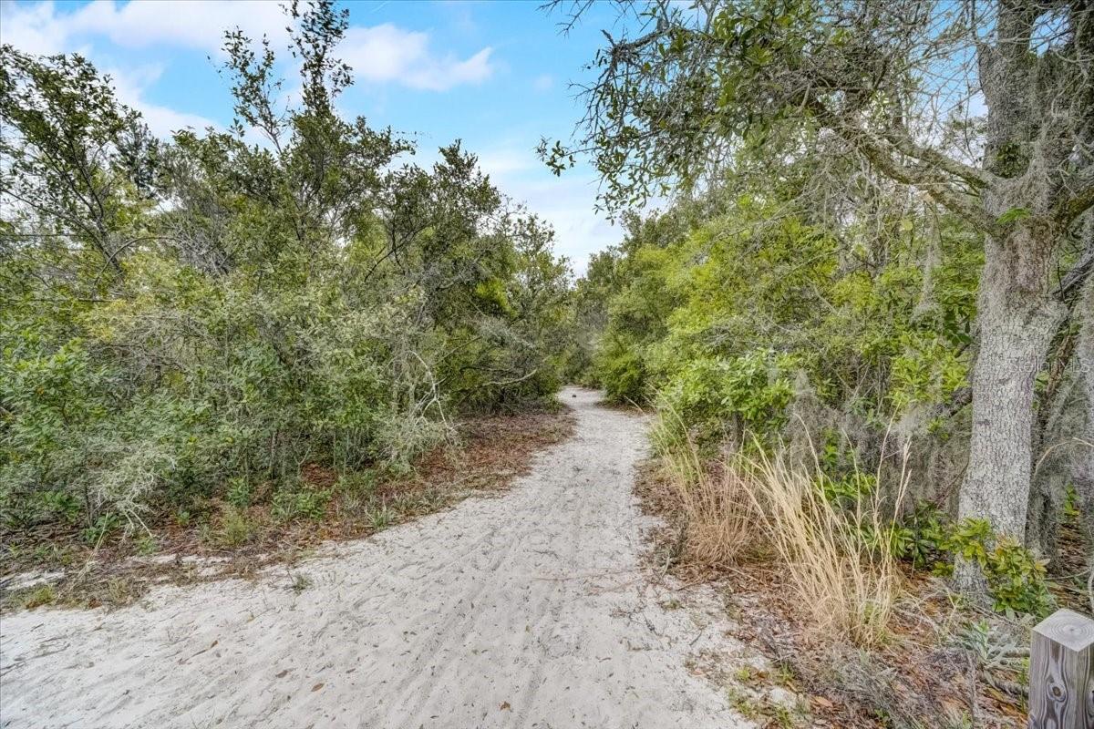 Image 57 of 71 For 7233 Branchtree Drive