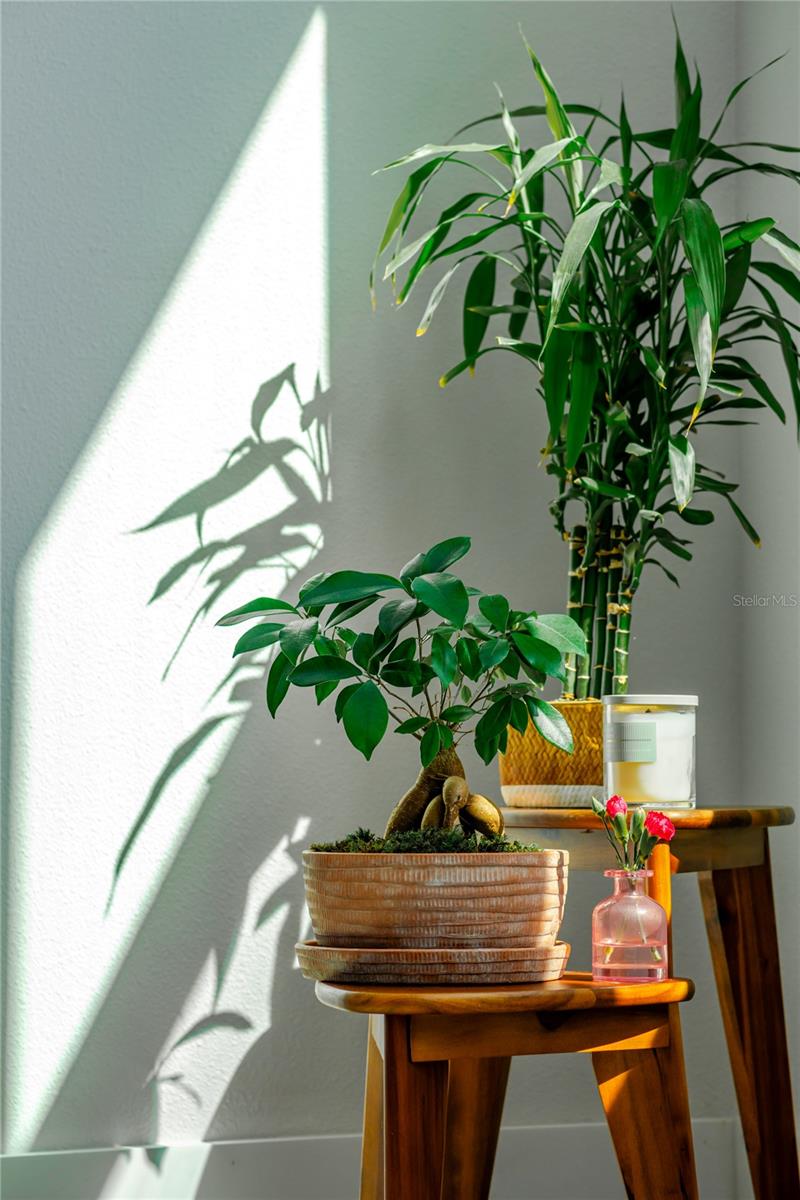 Image 24 of 67 For 16006 Gilden Way