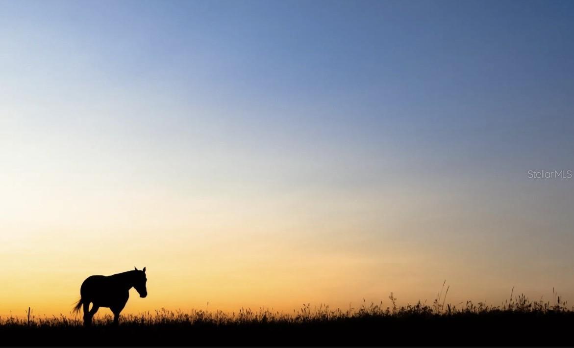 Image 24 of 26 For 6001 Elkcam Boulevard