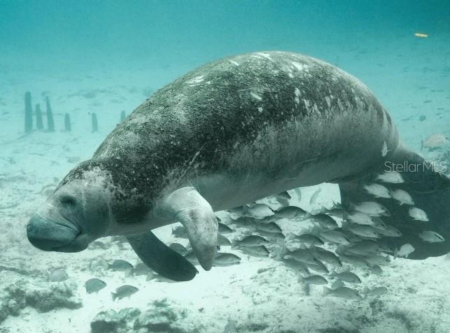 Image 25 of 26 For 6001 Elkcam Boulevard