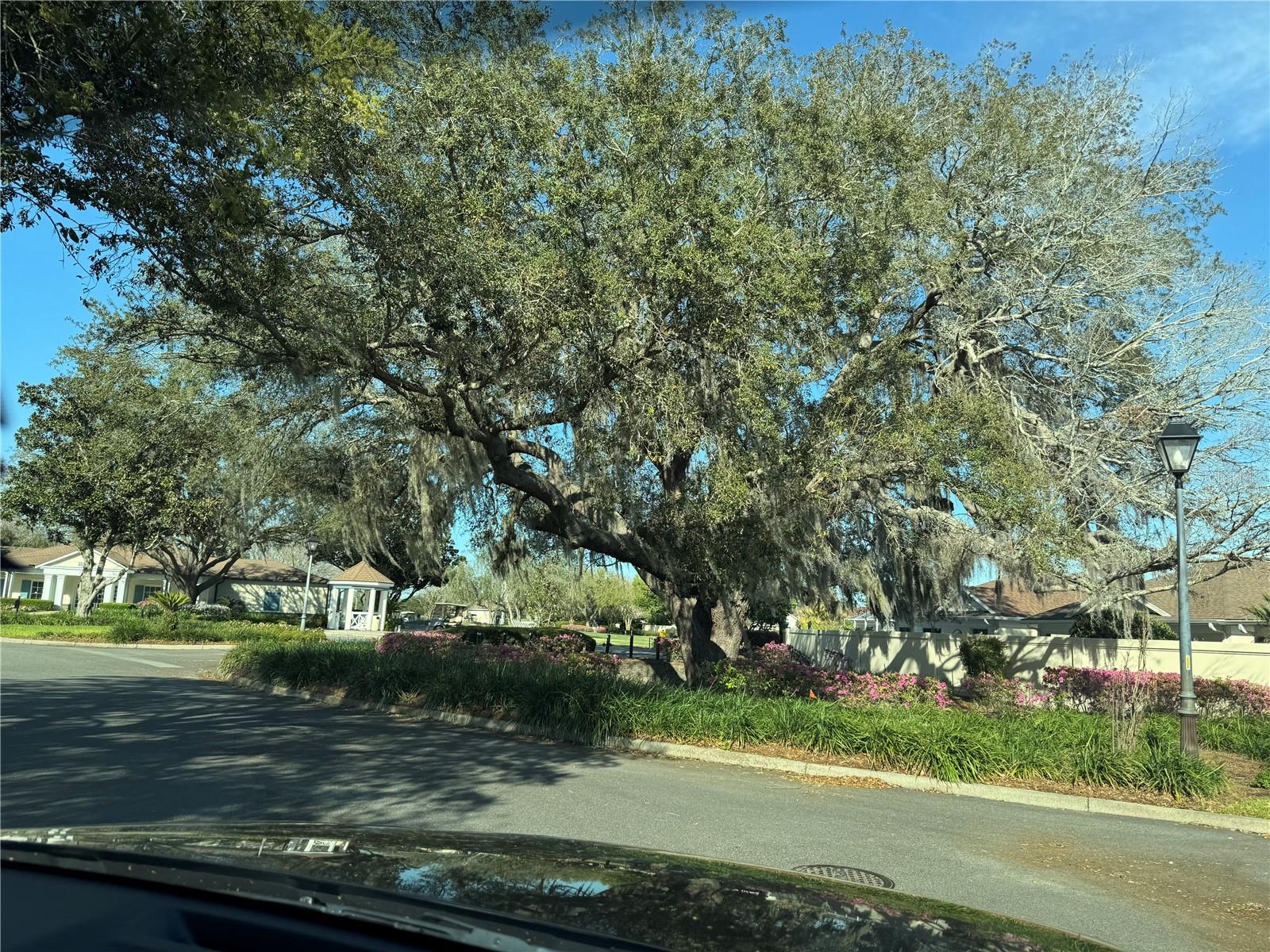 Image 38 of 38 For 9100 170th Fontaine Street