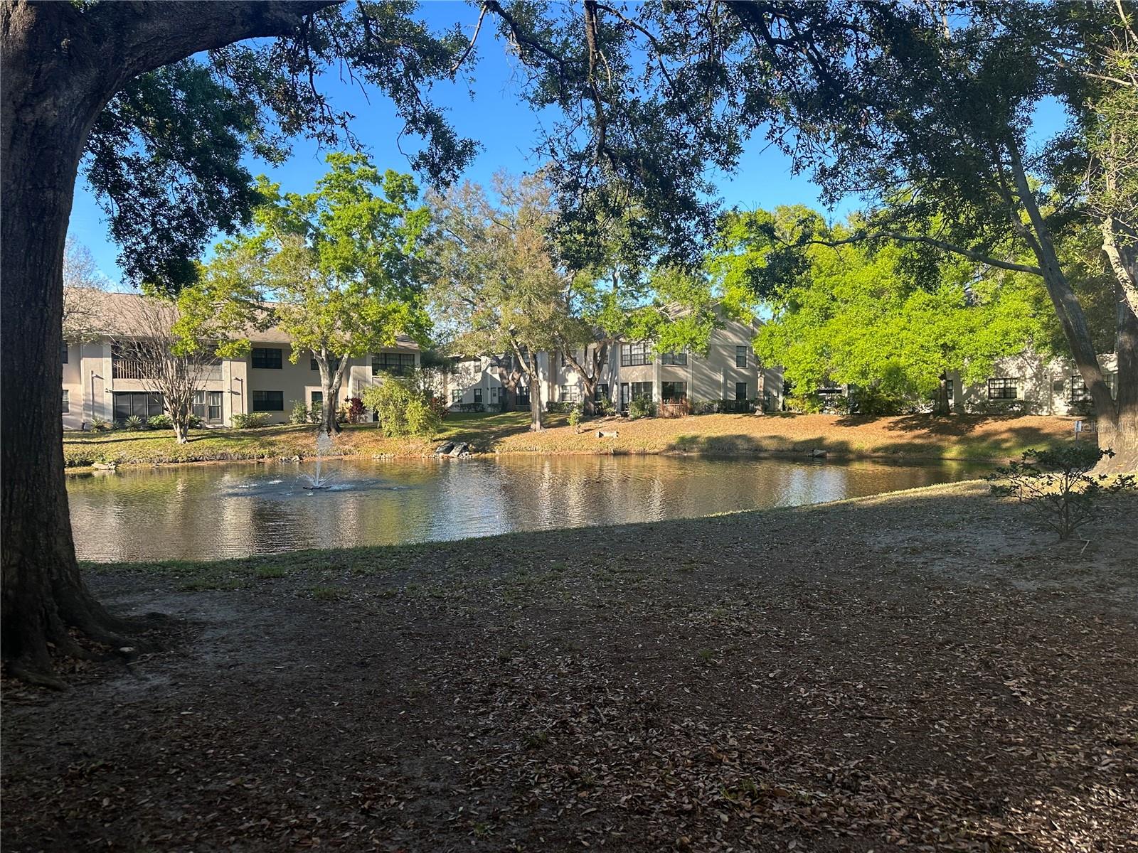 Image 5 of 6 For 2130 Elm Street 401