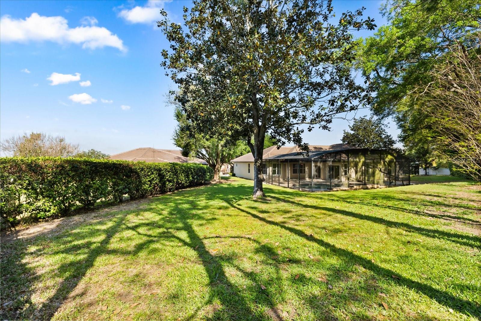 Image 42 of 46 For 11424 Cypress Hill Street