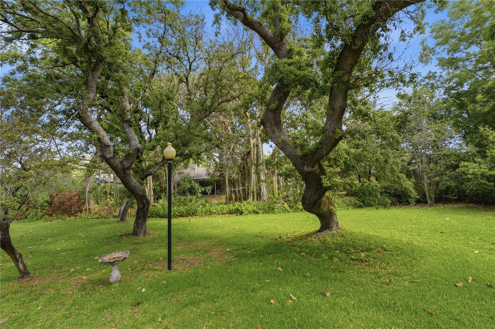 Image 51 of 55 For 7141 Wooded Village Lane