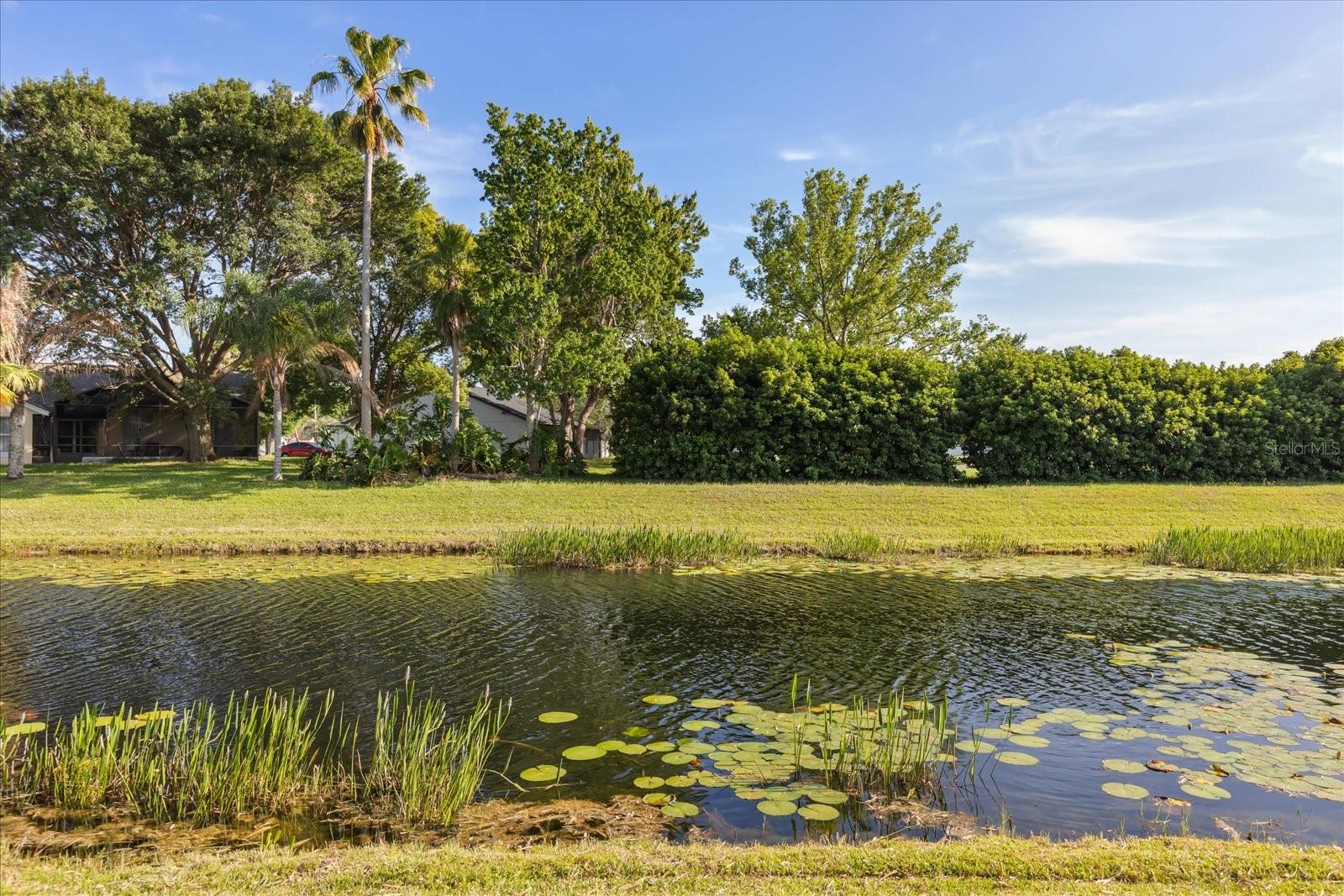 Image 28 of 37 For 5332 Dorrington Lane