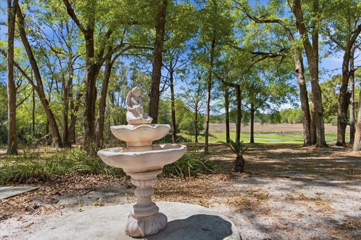 Image 18 of 22 For 31325 Prestwick Avenue