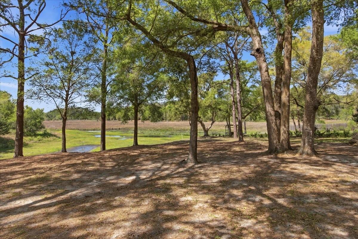 Image 19 of 22 For 31325 Prestwick Avenue