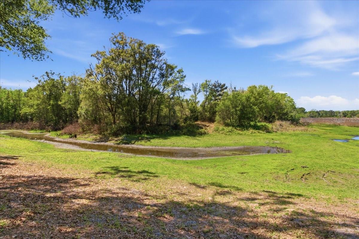 Image 20 of 22 For 31325 Prestwick Avenue