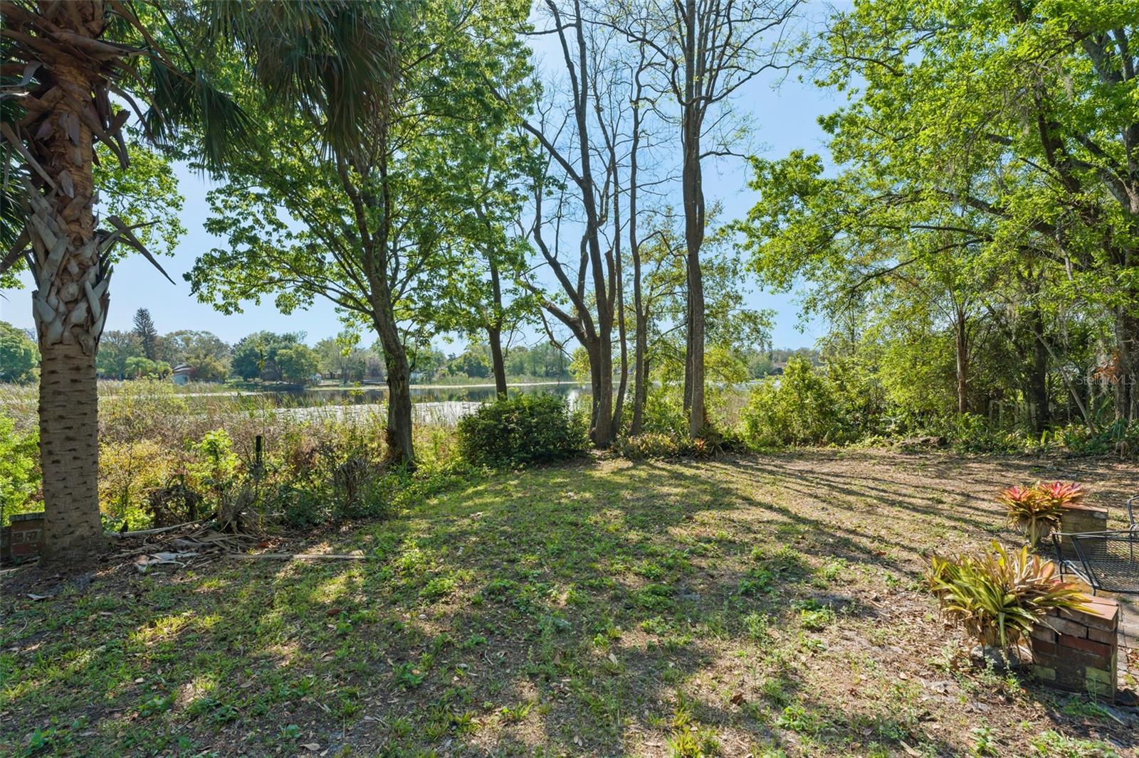 Listing photo id 2 for 0 Lake Douglas Place