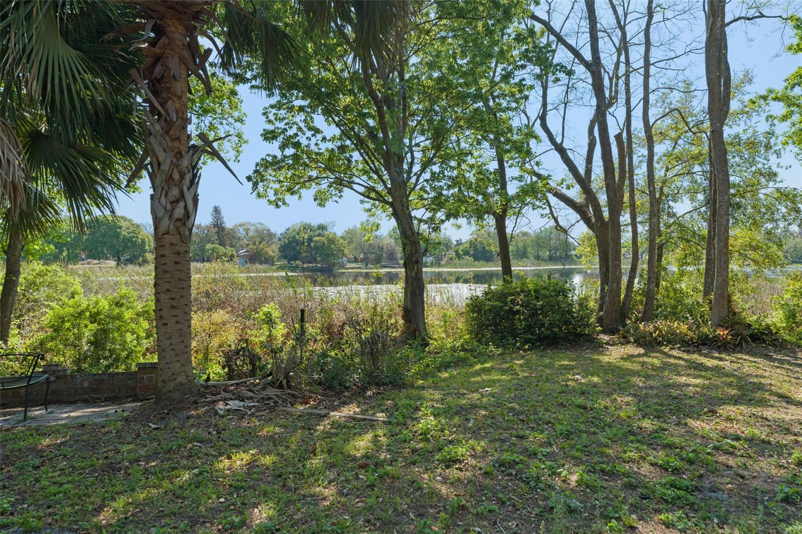 Listing photo id 3 for 0 Lake Douglas Place