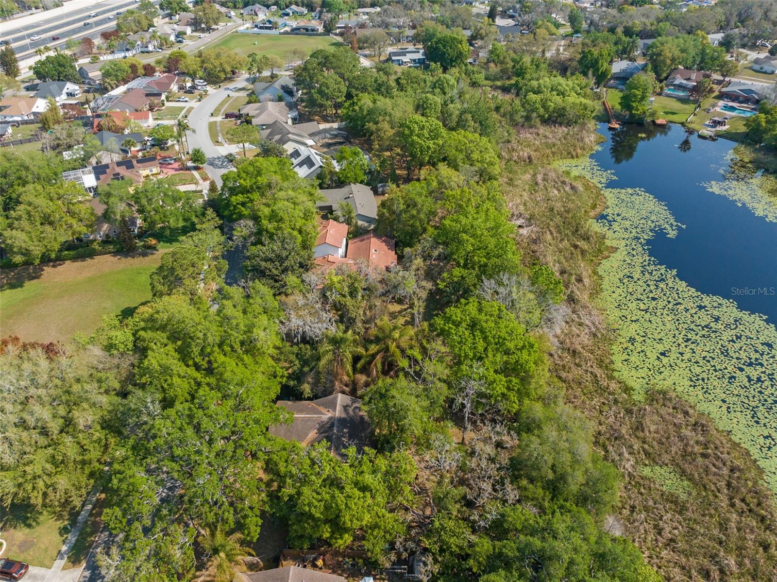 Listing photo id 5 for 0 Lake Douglas Place