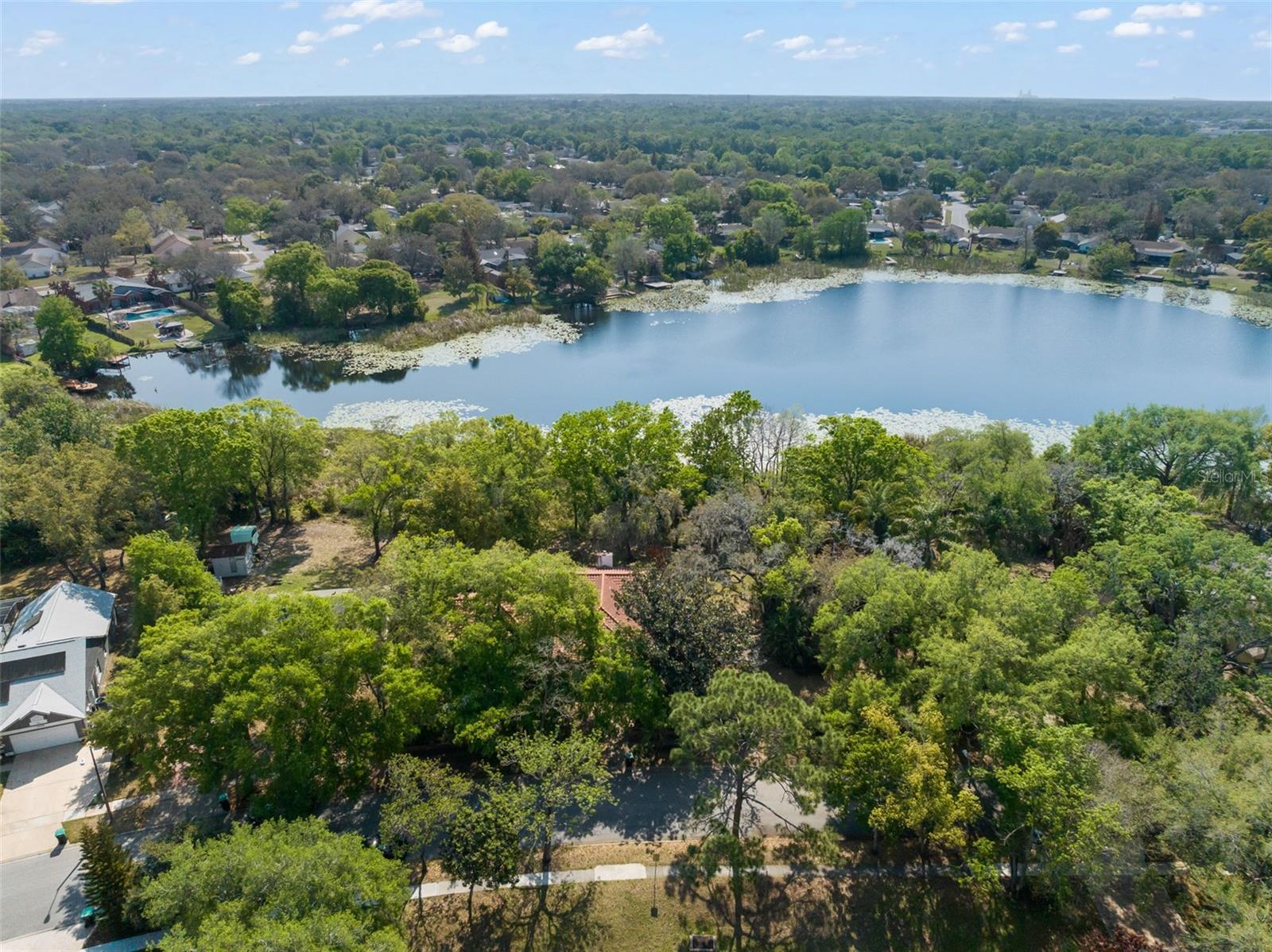 Listing photo id 6 for 0 Lake Douglas Place