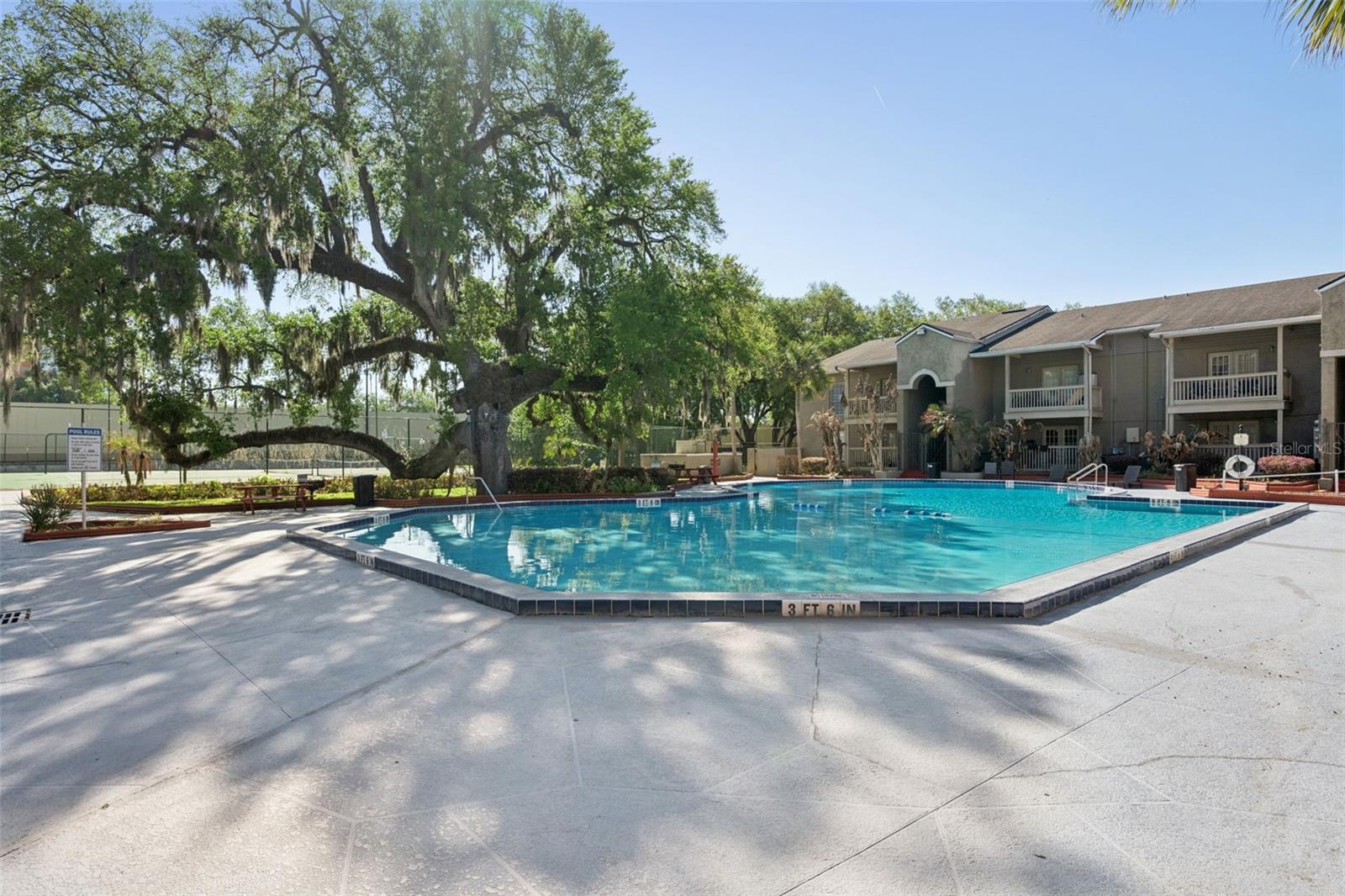 Image 31 of 50 For 425 Wymore Road 201