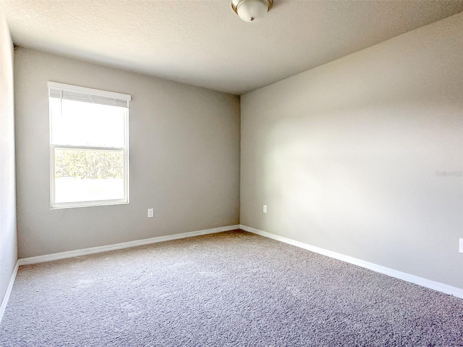 Image 15 of 33 For 484 Sun Warbler Way