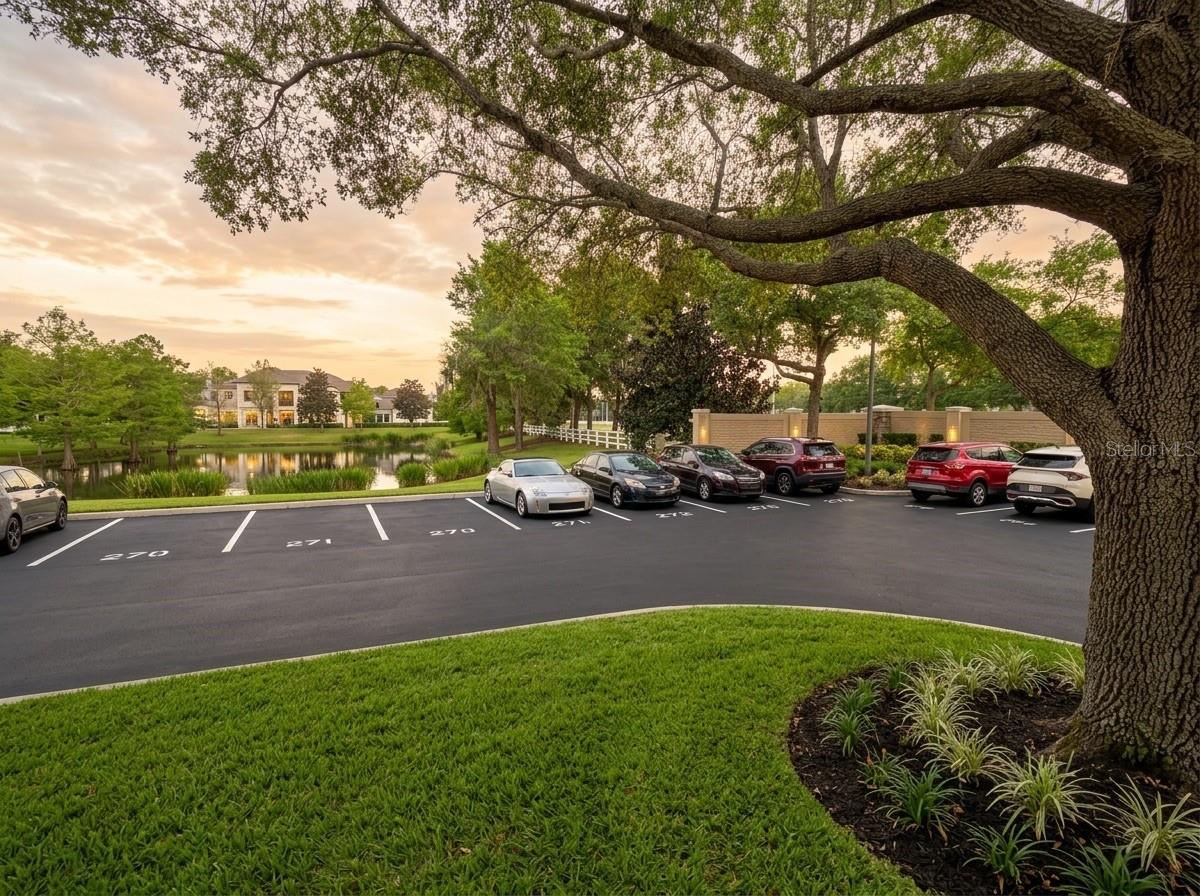 Image 20 of 32 For 8256 Maritime Flag Street 103| 1710