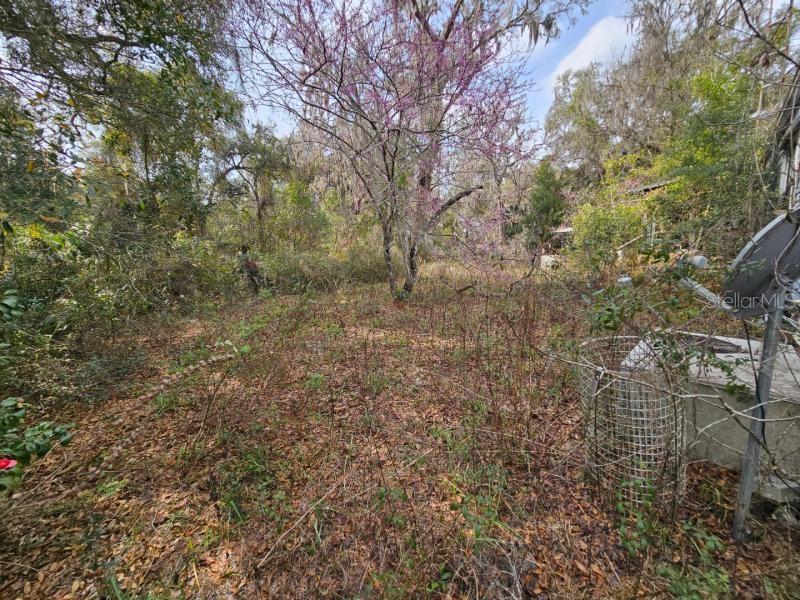 Image 9 of 21 For 4210 175th Street Road