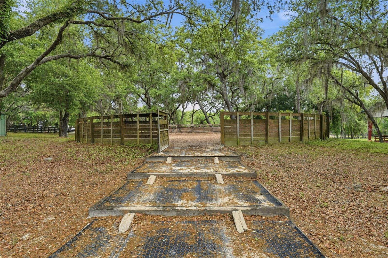 Image 27 of 67 For 2020 Haas Road