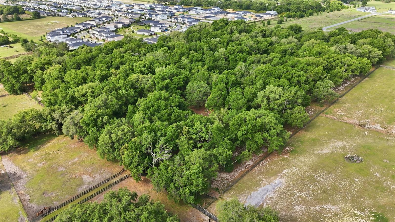 Image 64 of 67 For 2020 Haas Road