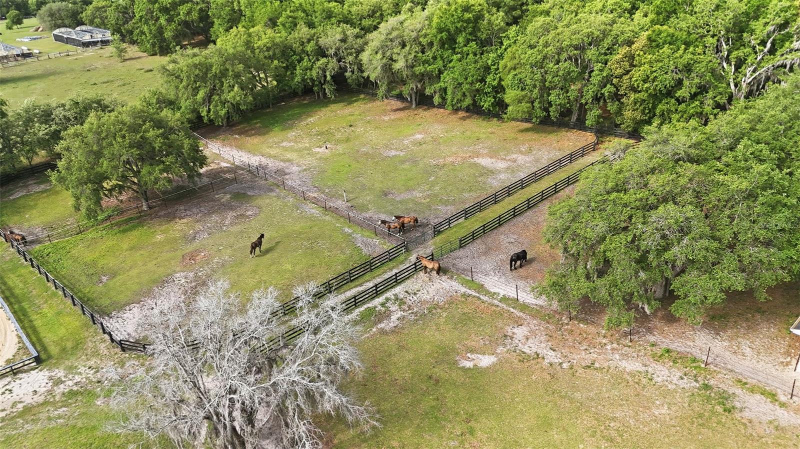 Image 65 of 67 For 2020 Haas Road