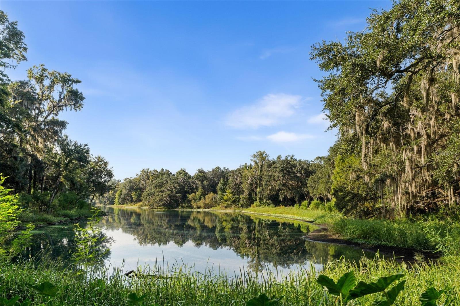 Image 3 of 52 For 4551 1st Avenue