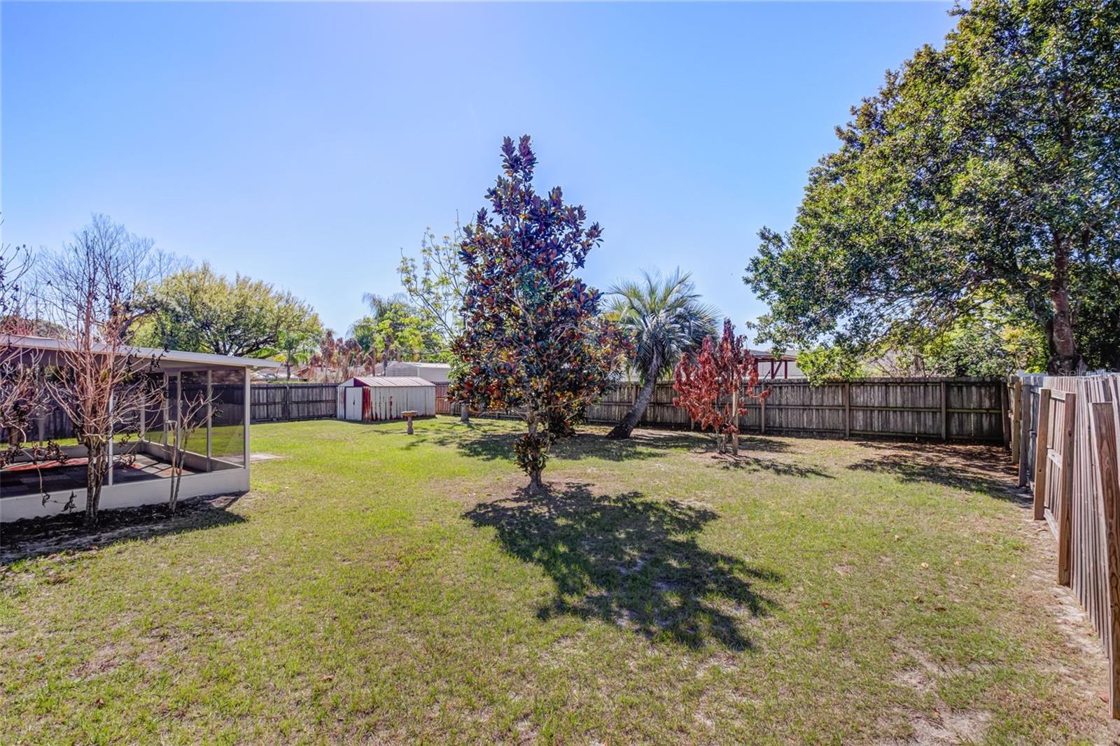 Image 22 of 22 For 8234 Imber Street