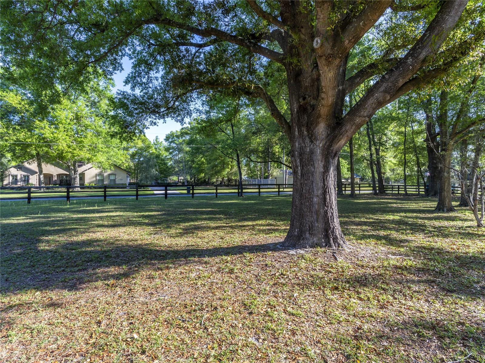 Image 38 of 89 For 4 Hialeah Drive