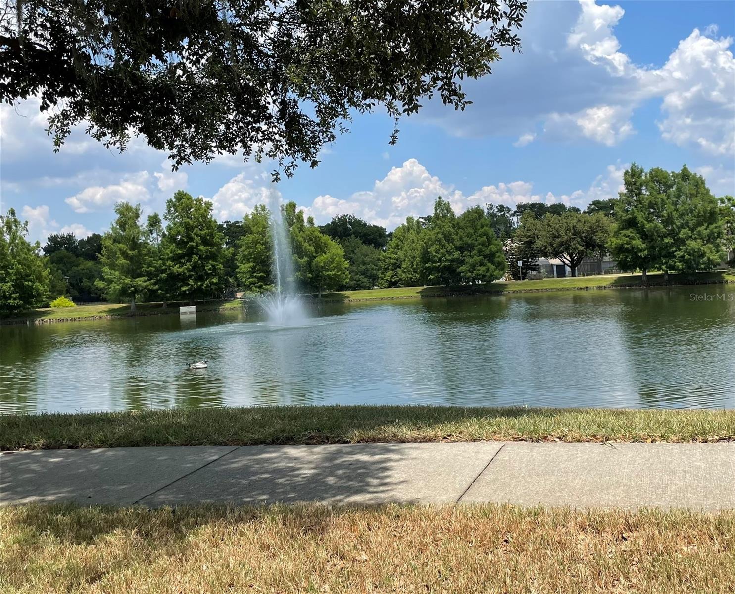 Image 42 of 49 For 781 Seneca Meadows Road