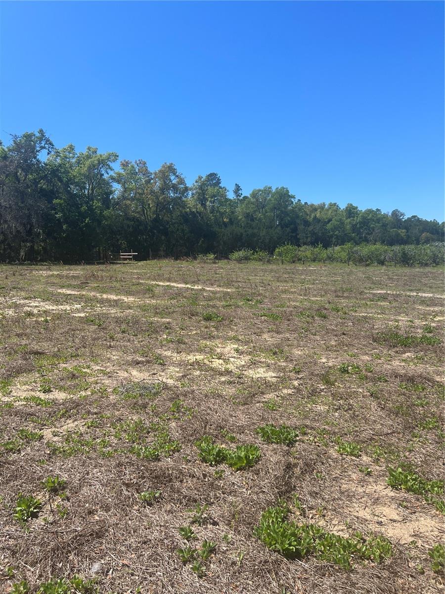 Image 5 of 5 For 2518 Haas Road