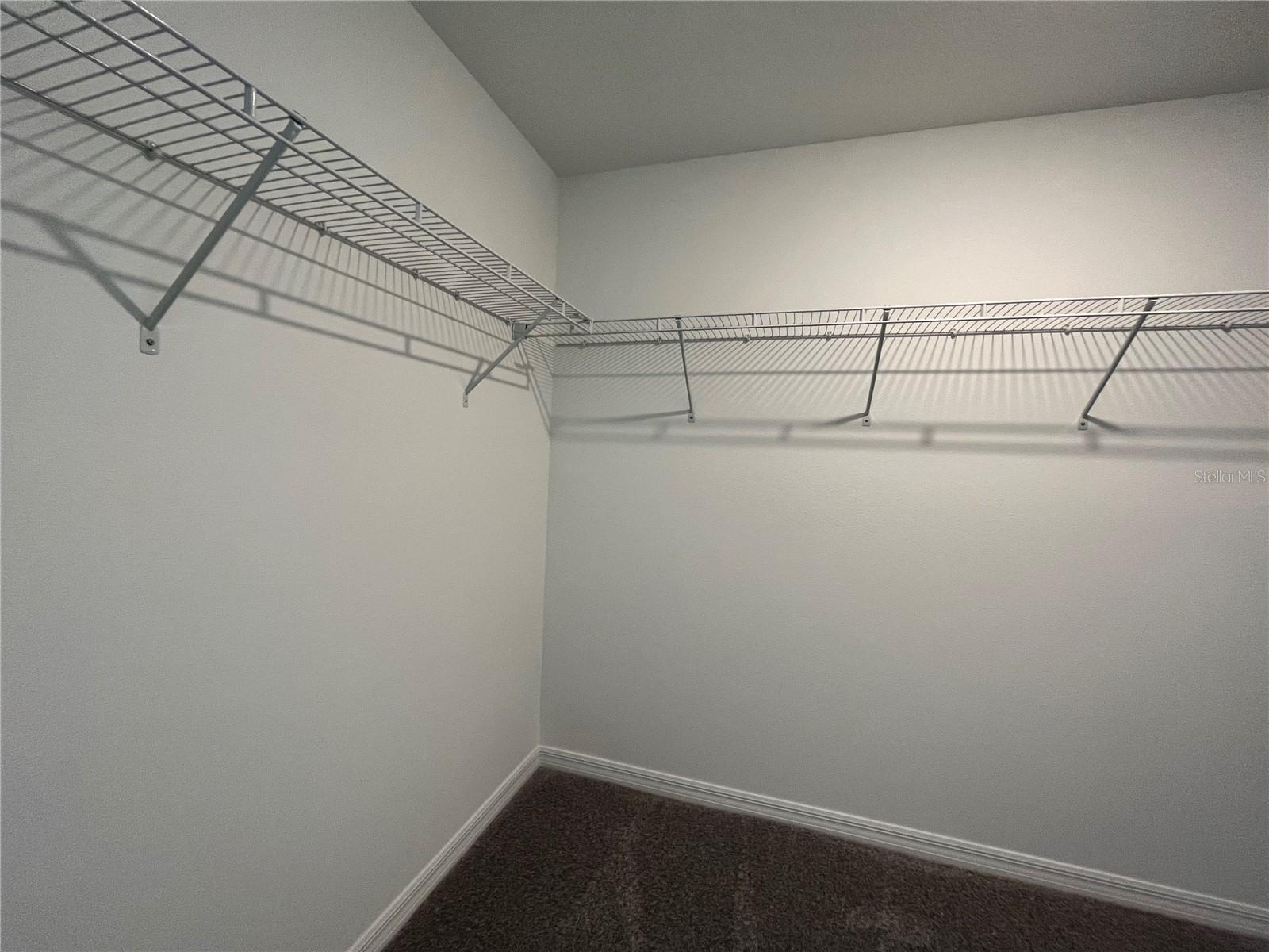 Image 18 of 34 For 10337 Trumpet Honeysuckle Way