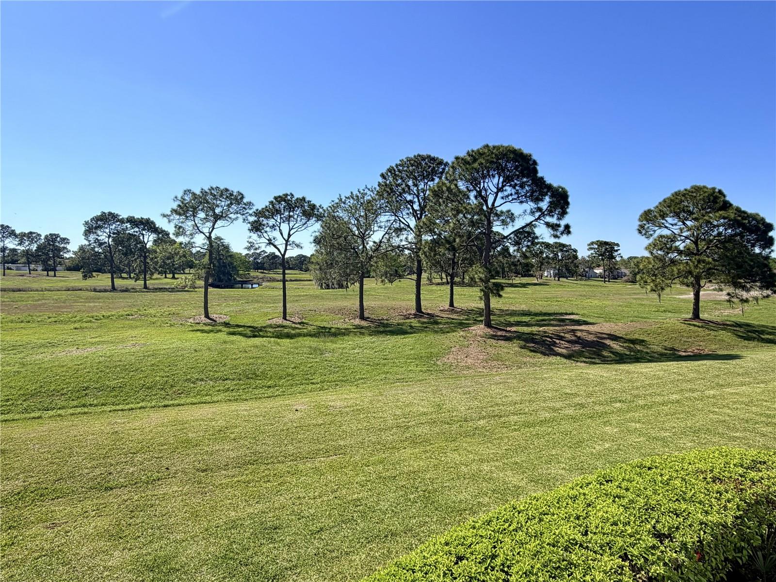 Image 13 of 33 For 13839 Fairway Island Drive 1124