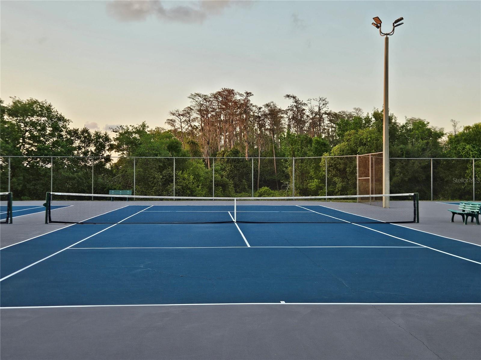 Image 22 of 23 For 11730 Whitewing Court