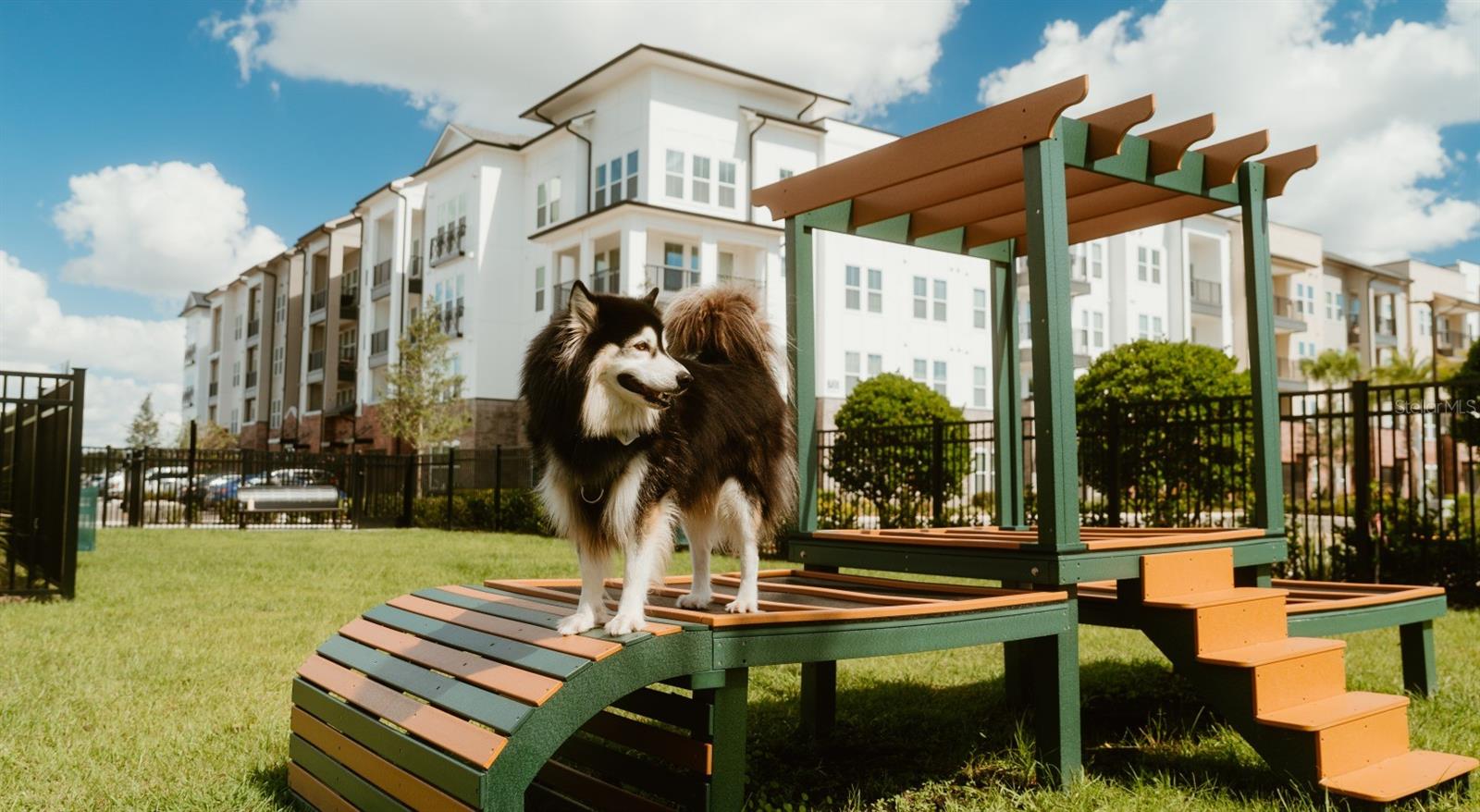 Listing photo id 23 for 700 Aultman Street Kowtown