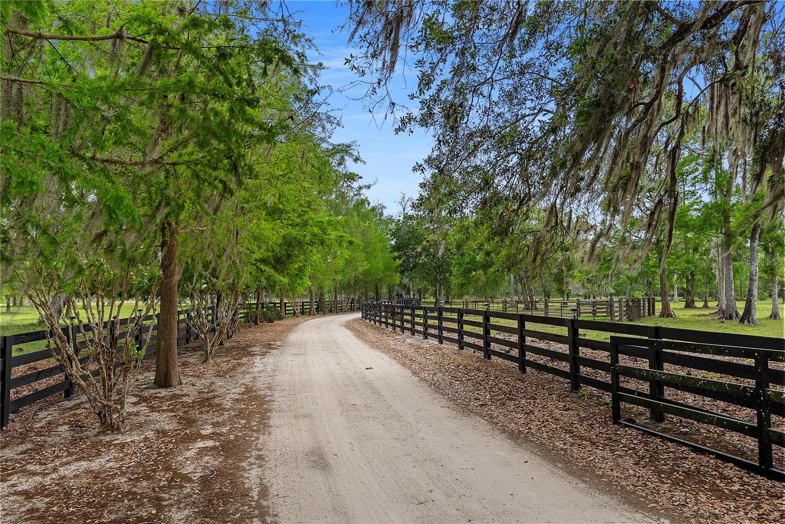 Image 49 of 65 For 13910 Corkwood Lane