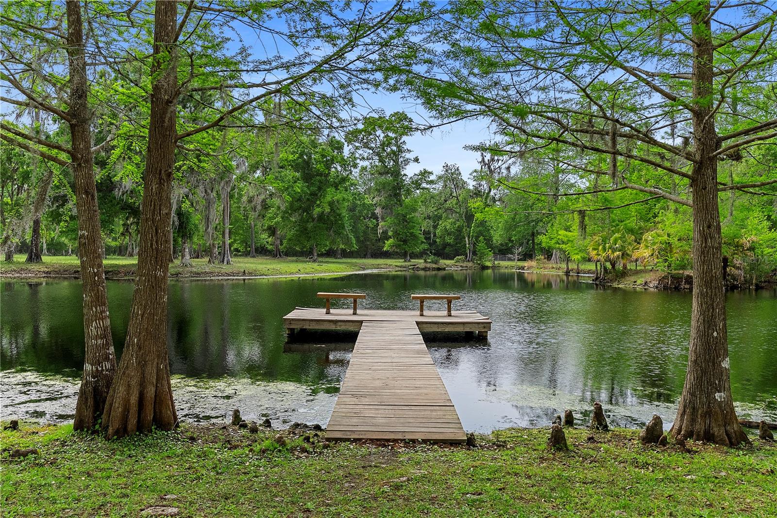 Image 59 of 65 For 13910 Corkwood Lane