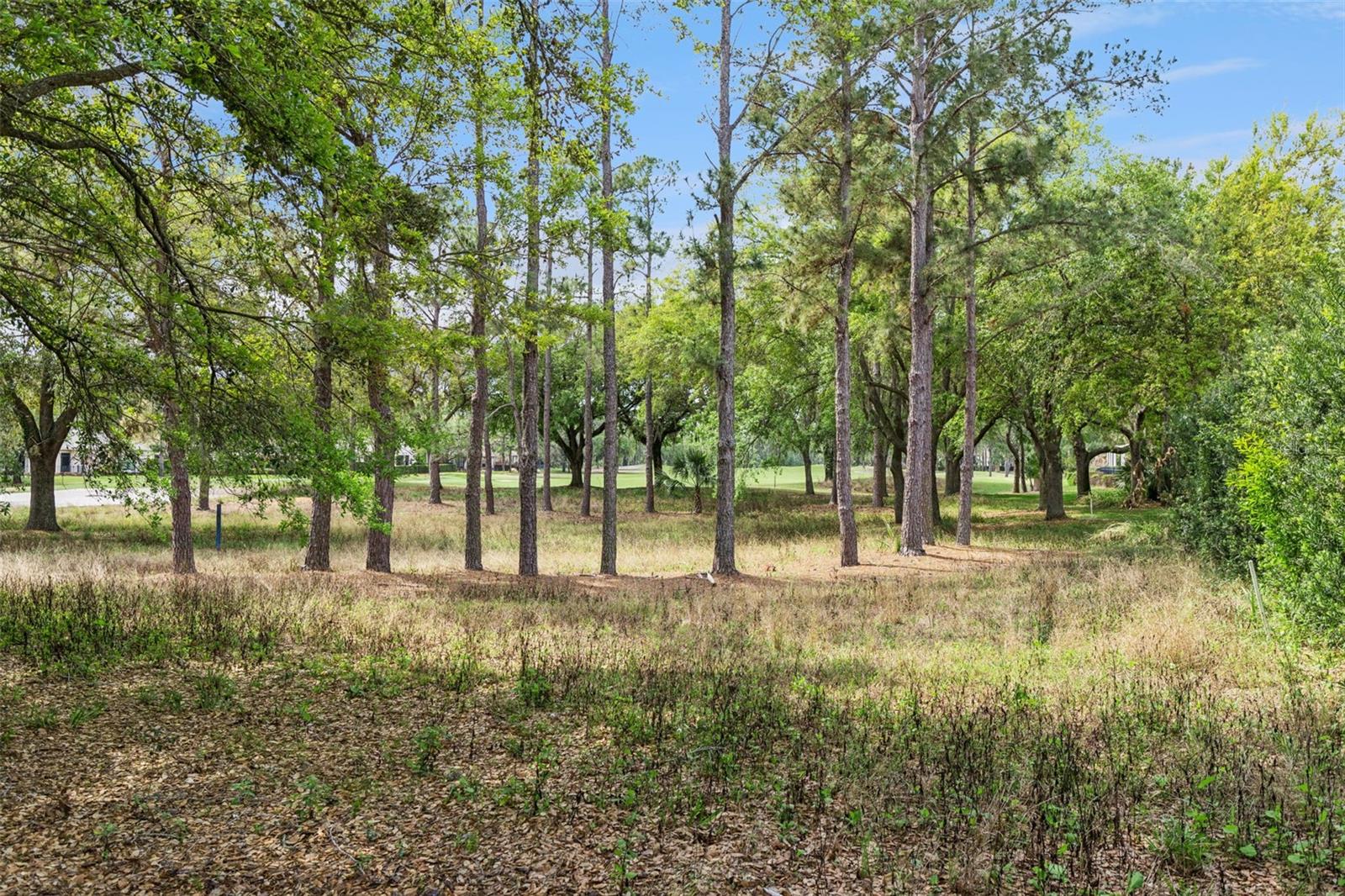 Image 50 of 78 For 6110 Keenes Pointe Drive