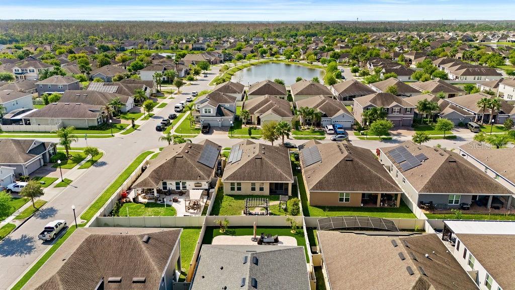 Image 42 of 53 For 3943 Green Sabal Drive